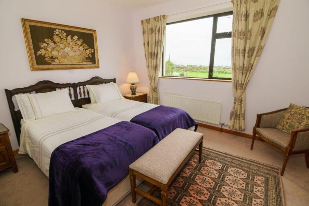 Ballydavid An Dooneen, The Hurley Farm B&B מראה חיצוני תמונה